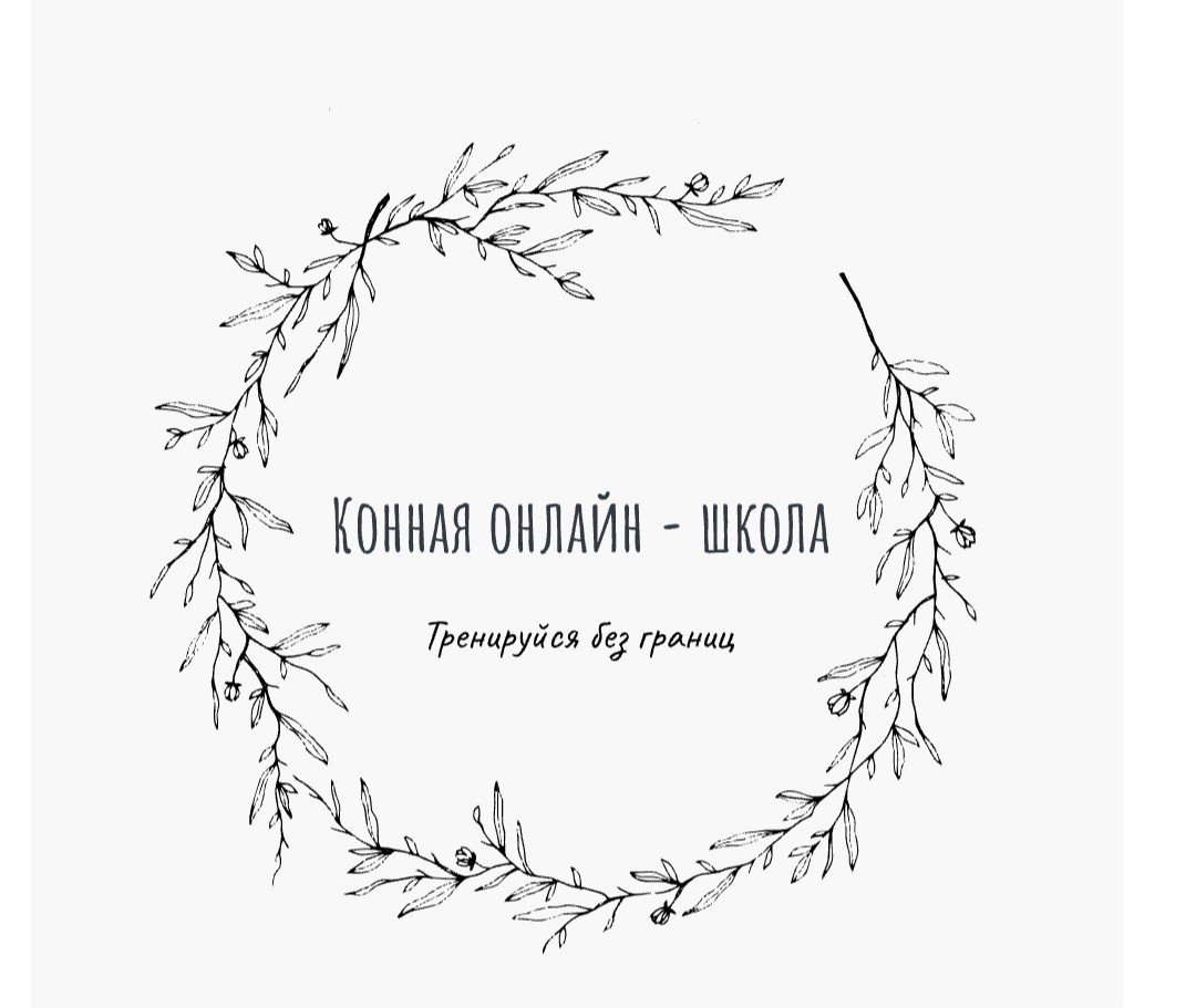 Что такое FEEDBACK и как получить совет по работе с лошадью от топового всадника?
