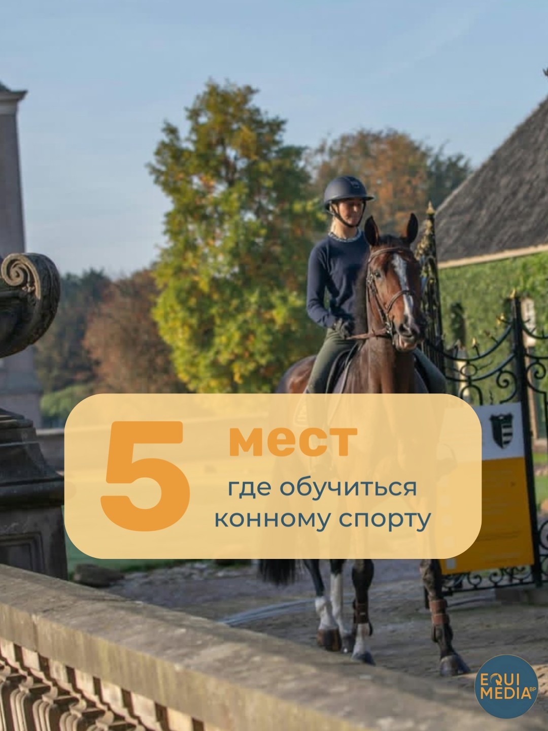 ТОП-5 способов обучиться конному спорту: от мировых академий до российский программ