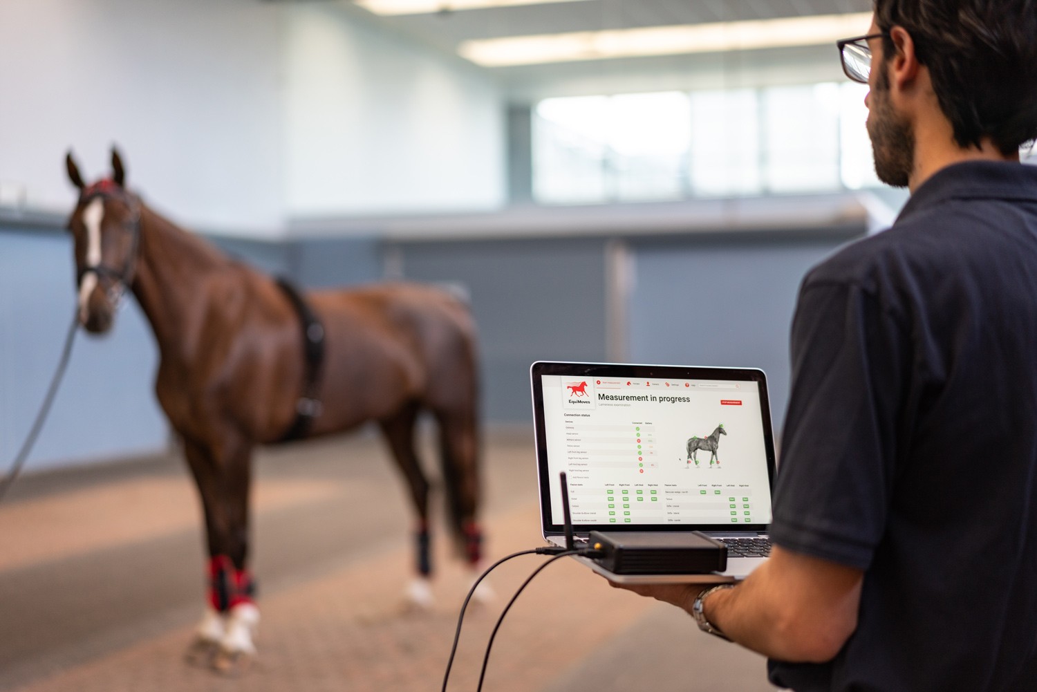 Equi_Tech: как технологии сделают судейство в выездке объективнее